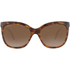 AGATA, Classic Tortoise-Mineral Polarized Drivers Gradient Cat 2 to 3, hi-res image number null